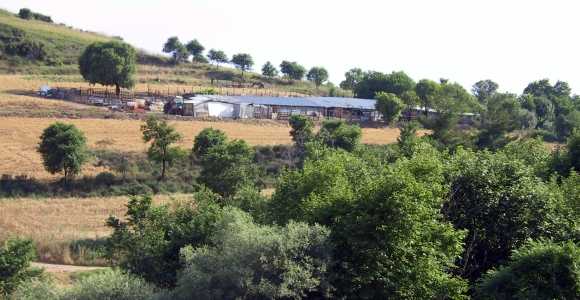 Ziegenstall auf dem Hang der Anhöehe "Balabana", ca. 200 m ausserhalb von Draviskos