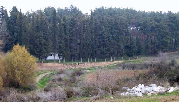 Kryoneri und Kapelle "Timiou Stavrou", ca. 1 km ausserhalb von Draviskos